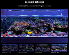 Red Sea Small 4-Part RCP Complete Reef Care Supplement Dosing System for Saltwater Mixed Reef Marine Aquariums for Optimal Coral Growth