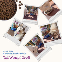 Health Extension Grain Free Chicken & Turkey Dry Dog Food- Whole Foods Ingredients Formula with a Blend of Turmeric & Antioxidants for All Life Stages Dogs