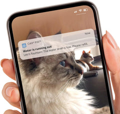 Catit PIXI Smart Water Fountain – Automatic Cat Drinking Fountain with UV-C Clarifier Light and App Support,White