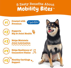 Mobility Bites for Dogs, Hip and Joint, All Ages, Duck, 90 Soft Chews, 12.7 oz (360 g)
