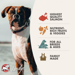 Fromm Four-Star Nutritionals Salmon A La Veg Dog Food - Premium Dry Dog Food - Salmon Recipe
