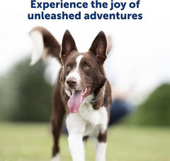 PetSafe 300 Yard Remote Training Collar – Choose from Tone, Vibration, or 15 Levels of Static Stimulation – Medium Range Option for Training Off Leash Dogs – Waterproof and Durable – Rechargeable