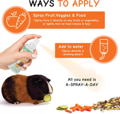 Oasis Guinea Pig Pure C Vita E-Z Mist Supplement, 2 oz