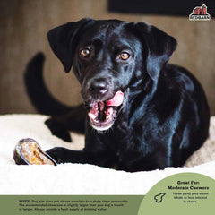 Redbarn Filled Hooves-Beef for Dogs 1ea/1.8 oz