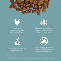 Go! Solutions Digestion + Gut Health, Dry Cat Food, Chicken Recipe with Ancient Grains