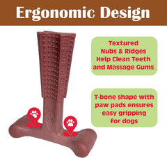 SPOT Bam-Bones Plus T Bone - Bamboo Fiber & Nylon, Durable Long Lasting Dog Chew for Aggressive Chewers – Great Toy for Adult Dogs & Teething Puppies Under 30lbs, Non-Splintering, Beef Flavor