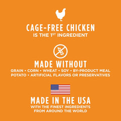 Instinct Raw Boost Mixers, Freeze Dried Dog Food Topper with Functional Ingredients, Grain Free, Real Chicken - Gut Health