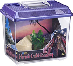Lee's Hermit Crab Hideaway Kit, Medium, Colors May Vary