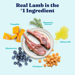 Solid Gold Toy & Small Breed Dry Dog Food Small Bites – Real Lamb, Grain Free, Gluten Free, High Fiber Healthy Kibble w/Probiotics for Gut Health & Digestion Support– All Ages NutrientBoost 3.75-lb