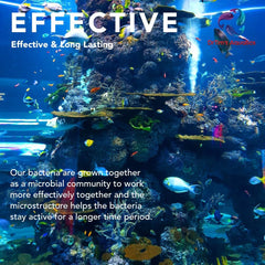 DrTim’s Aquatics Saltwater One & Only – Essential Marine Solution for Reef & Fish Tank Water Balance and Healthy, Stable Aquarium Environment