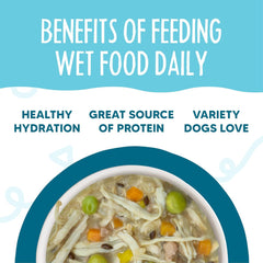Weruva Meals 'n More Natural Wet Dog Food, Funky Chunky Plus Skin & Coat Health (Pack of 12)