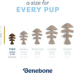 Benebone Puppy Fishbone Dog Chew Toys, Softer for Modest Chewers, Made in USA