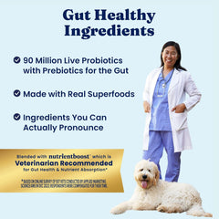 Click to see full view 3+ Solid Gold Toy & Small Breed Dry Dog Food Small Bites – Real Chicken, Grain Free Gluten Free, High Fiber Healthy Kibble w/Probiotics for Gut Health & Digestion Support– All Ages – NutrientBoost™