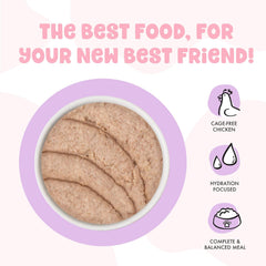 B.F.F. Kitten Food, Cute to Boot with Chicken in a Hydrating Puree