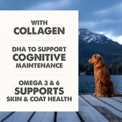 Grizzly Life Stage Liquid, Senior