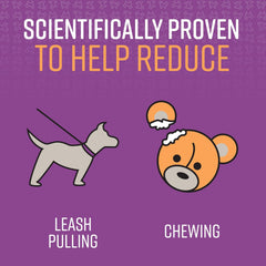 Sentry Pet Care Stop That! Behavior Correction Spray for Dogs, Easy Spray Application, Noise and Pheromones Help Eliminate Excessive Barking, Marking, Jumping, and Other Unwanted Behaviors