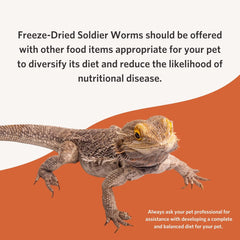 Fluker's Freeze Dried Soldier Worms, Ideal for Lizards, Reptiles, Birds, Fish, Hedgehogs, 1.7 oz