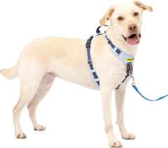 PetSafe Easy Walk Comfort No-Pull Dog Harness Full-Body Padding - Better Walks on The First Use - 5 Points of Adjustment , Blue