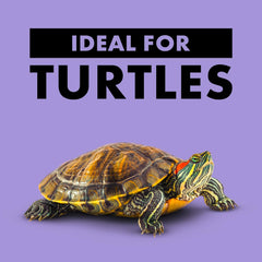 Zilla Reptile Food Munchies River Shrimp for Turtles, Salamanders, Axolotls, and Large Tropical Fish, 2-Ounce