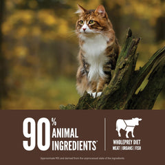 ORIJEN Regional RED Dry Cat Food, Grain Free Cat Food for All Life Stages, with WholePrey Ingredients