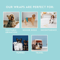 Simple Solution Absorbent Male Wraps with Leak Proof Fit | Excitable Urination, Incontinence,1 Reusable Dog Diaper Per Pack,Whites & Tans