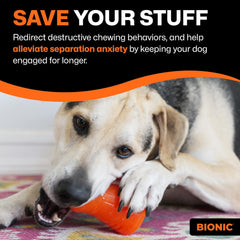 BIONIC Treat Shaker Dog Toy, Large - Interactive Dog Chew Toy That Stands Up to The Toughest Chewers
