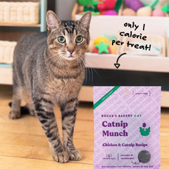 Bocce's Bakery All-Natural, Seasonal, Graveyard Grub Cat Treats, Wheat-Free, Limited-Ingredient Soft & Chewy Treats Inspired by Halloween, 2 oz