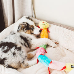 ZippyPaws Deluxe Caterpillar- Dog Toys to Keep Them Busy, For Medium & Large Dogs, Squeaky Pet Toy for Boredom, Stuffed Chew Toy, Soft Plush Puppy Products, 6 Blaster Squeakers & 1 Round Squeaker