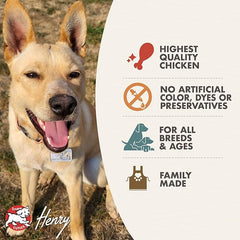 Fromm Diner Specials Chicken Canine Bleu Entrée in Gravy Dog Food - Premium Wet Dog Food - Chicken Recipe - Case of 12 Cans