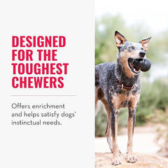 KONG Extreme Dog Toy - Fetch & Chew Toy - Treat-Filling Capabilities & Erratic Bounce for Extended Play Time Most Durable Natural Rubber Material - for Power Chewers