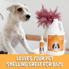 Bio-groom Groom'n Fresh Dog Cologne - Deodorizing Spray, Dog Bathing Supplies, Puppy Wash, Cat & Dog Grooming Supplies, Cruelty-Free, Made in USA, Dog Perfume - 8 fl oz 2-Pack