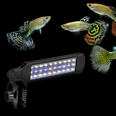 Aquatop LED Aquarium Clamp on Light, 6,500K Spectrum, Fits Rimless Fish Tanks, SkyAqua Mini, UL & CSA, SAQ-Mini