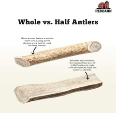 Redbarn Pet Products Half Deer Antler for Dogs