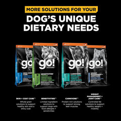 Go! Solutions Digestion + Gut Health, Dry Dog Food, Salmon Recipe with Ancient Grains