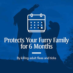 PetArmor Flea & Tick Collar for Dogs, Kills Fleas & Ticks, Long Lasting Protection for 6 Months, Water Resistant, One Size Fits All.