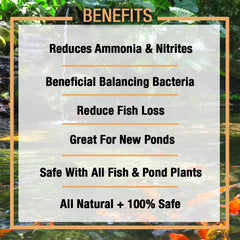 MICROBE-LIFT NITE16 Nite-Out II Water Cleaner for Outdoor Ponds and Water Gardens, Rapid Ammonia and Nitrite Reduction, 16 Ounces