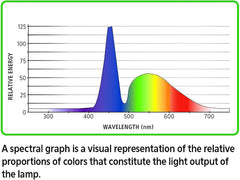 Aqueon Clip-On LED Aquarium Fish Tank Light for Planted Growing Plants for Up To 20 Gallon Aquariums