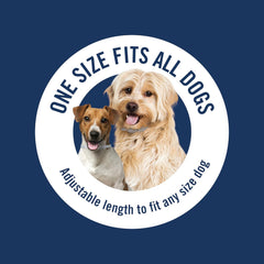 PetArmor Plus Flea & Tick Collar for Dogs, Kills Fleas & Ticks, Long Lasting Protection for 6 Months, Water Resistant, One Size Fits All, 1 Collar