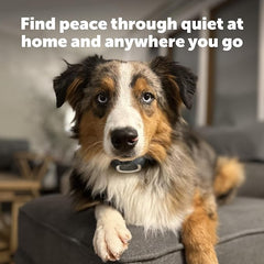 PetSafe Lite Rechargeable Bark Collar for Timid or Little Dogs Over 8 lb., 15 Levels of Automatically Adjusting & Light Static Correction - Rechargeable, Waterproof - Reduces Barking and Whining