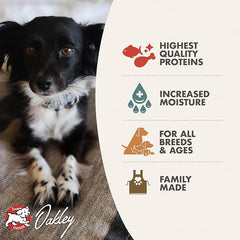 Fromm Salmon & Chicken Pate Dog Food - Premium Wet Dog Food - Salmon Recipe - Case of 12 Cans