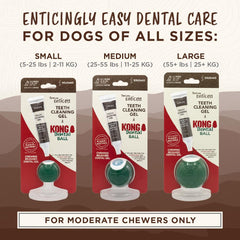 TropiClean Enticers Kong Dental Ball Kit for Medium Dogs | Teeth Cleaning Gel | Smoked Beef Brisket Flavor |