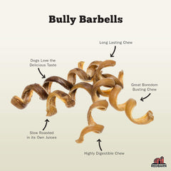 Redbarn Bully Springs for Dogs 1 ea