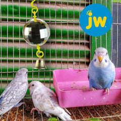 JW® ActiviToys® Disco Ball Bird Toys Multicolor Small/Medium