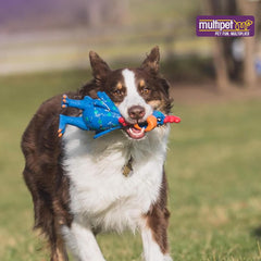 Multipet's Latex Polka Dot Globken Chicken Dog Toy 1 ea