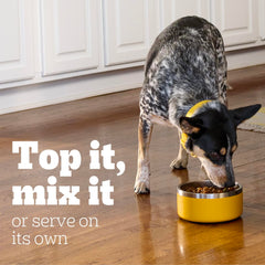 Pedigree Wet Food Pedigree Chopped Ground Dinner With Beef Adult Canned Wet Dog Food 13.2 oz, 1 ea