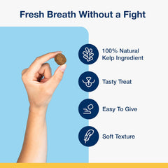 NaturVet ProDen PlaqueOff Soft Chews with Natural Kelp - for Large & Giant Breed Dogs - Supports Normal, Healthy Teeth, Gums, and Breath Odor in Dogs - 45 Soft Chews