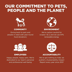 Go! Solutions Skin + Coat Care, Dry Dog Food, Large Breed Adult Salmon Recipe with Grains