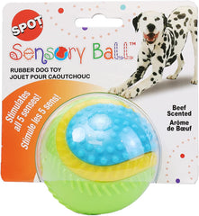SPOT Sensory Ball for Soft Chewers - Stimulates All 5 Senses, Bell & Squeaker Sounds, Raised Nubs Clean Teeth, High Contrast Fetch Toy, Beef Scented, Durable TPR Rubber Ball, 3.25-inch