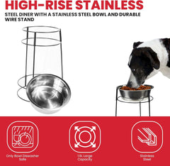 SPOT Hi Rise Single Diner Elevated Dog Feeder, 2qt Stainless Steel Bowl, Durable Wire Stand, Hygienic, Easy to Clean, Promotes Proper Posture for Tall Pets, Ideal for Medium and Large Breeds