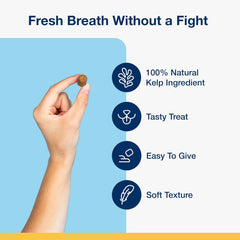 ProDen PlaqueOff Soft Chews with Organic Kelp - for Small & Medium Breed Dogs & Cats - Supports Normal, Healthy Teeth, Gums, and Breath Odor in Dogs & Cats